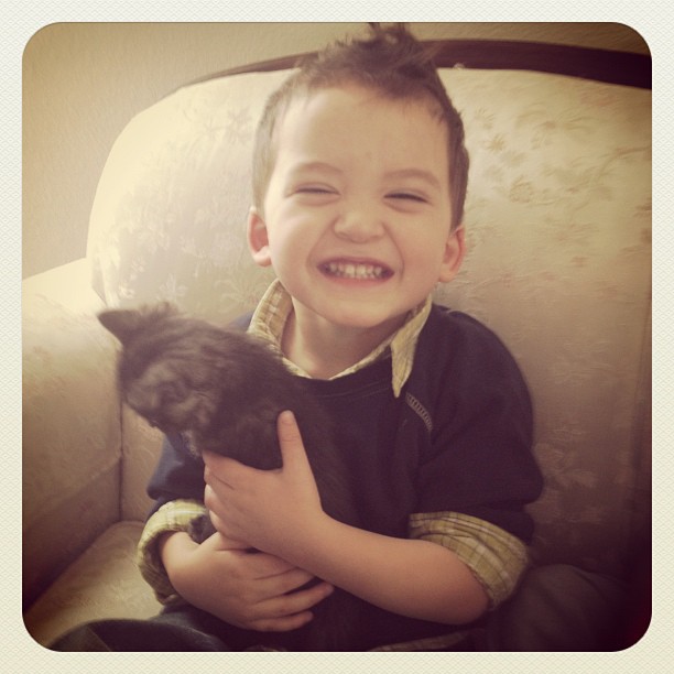 3:8:12 ethan easter kitten 1