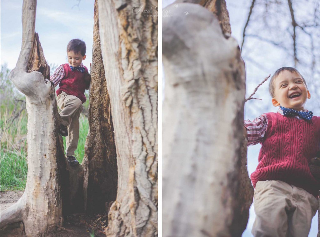 In the tree